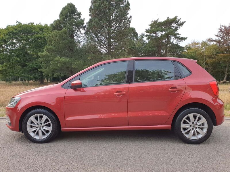 VOLKSWAGEN POLO